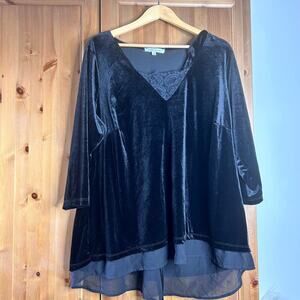 Rose‎ & Olive Black Velvet Women’s 2X Whimsigoth Burnout Stretch Fairy Grunge